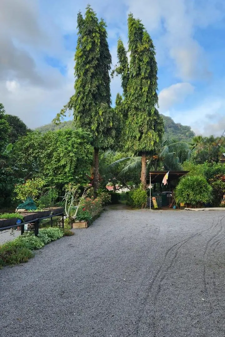Green Self-Catering Apartment Beau Vallon  0*, Beau Vallon (Mahe)